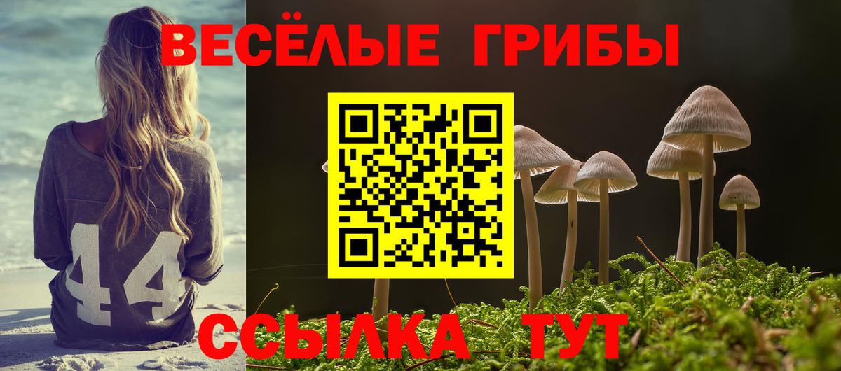 Ливны  Галлюциногенные грибы GOLDEN TEACHER  Вход с VPN  Галлюциногенные грибы Psilocybe 